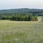 Green Hillside Apartment-Petit Wilogne * Mont (Belgium Luxembourg)